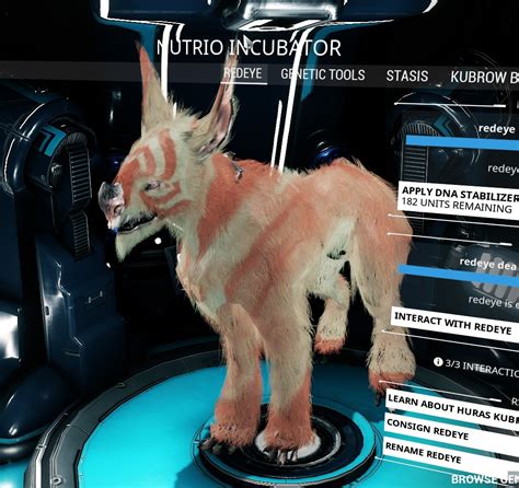 warframe kubrow breeding guide